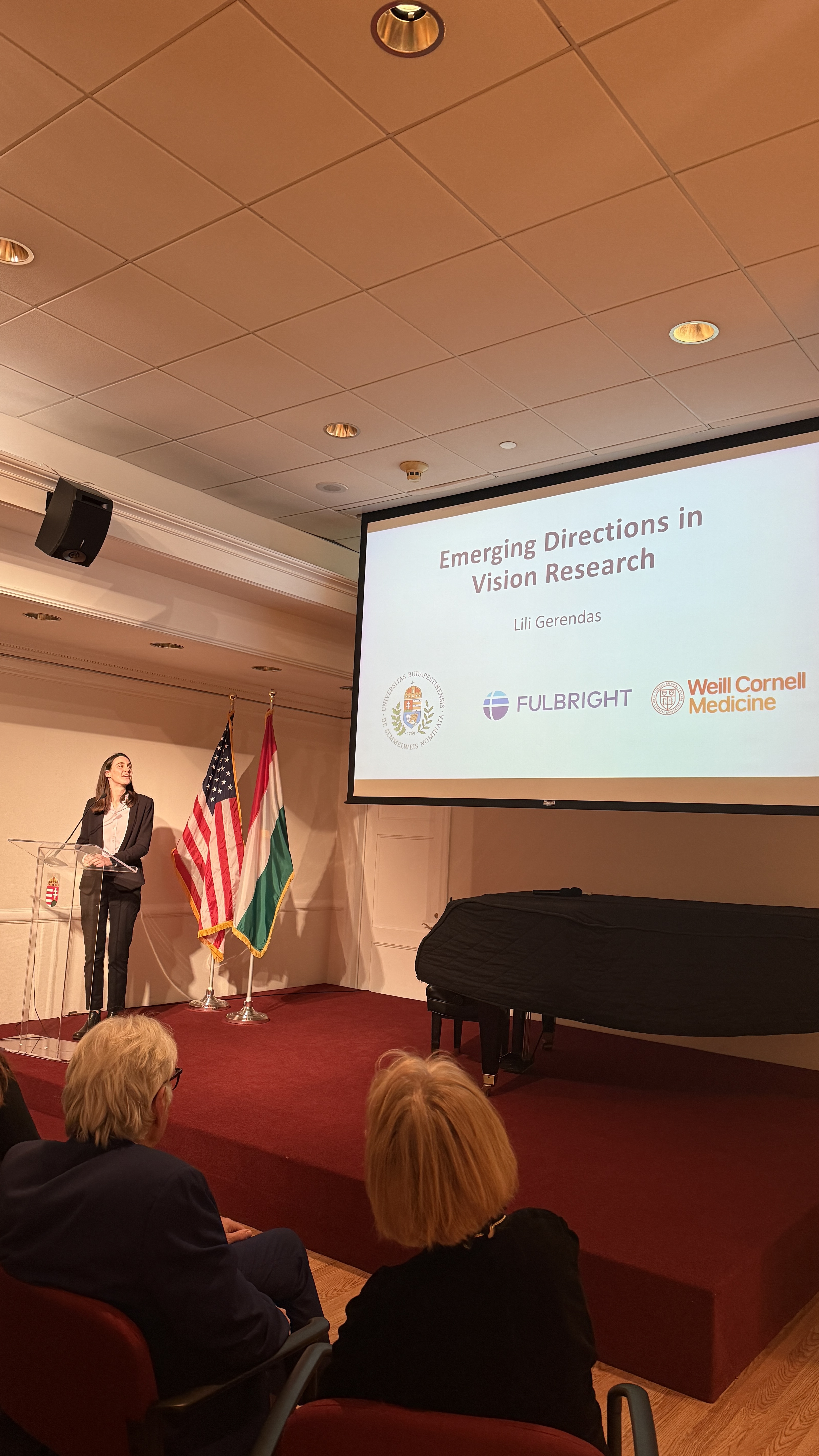 Gene Therapy Vision Research